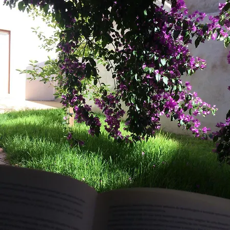 Sobre Ribas 2|12 شقة *